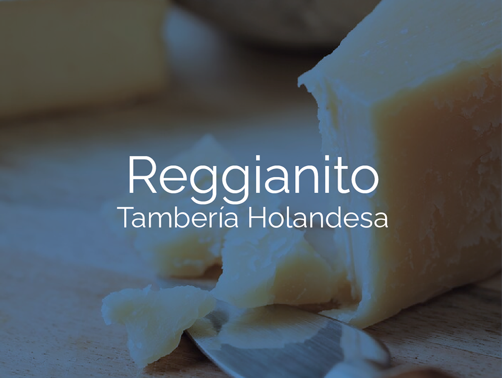 Reggianito Holandesa